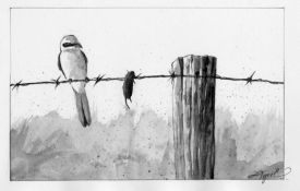 Shrike_on_fence.jpg thumbnail