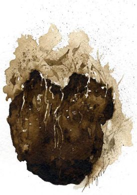 sink_hole_web.jpg thumbnail