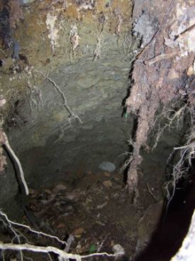 sinkholelowres_300.jpg thumbnail