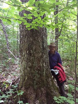 Sneak-Peek-Joe-Rankin-photo-web.jpg thumbnail