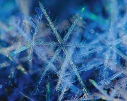 Snowflake_Photo_12.jpg