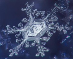 Snowflake_Photo_17.jpg