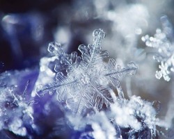 Snowflake_Photo_6.jpg