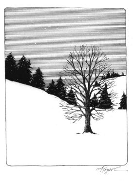 snowpack.jpg thumbnail