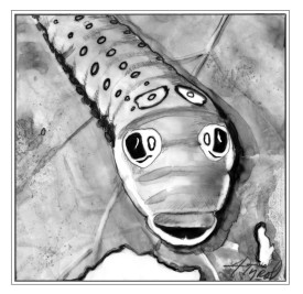 Spicebush swallowtail caterpillar thumbnail