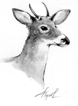 Spike_horn.jpg thumbnail