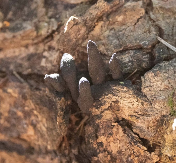 Spooky mystery Image