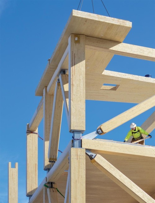 Cross Laminated Timber 3