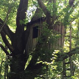 Tree house thumbnail