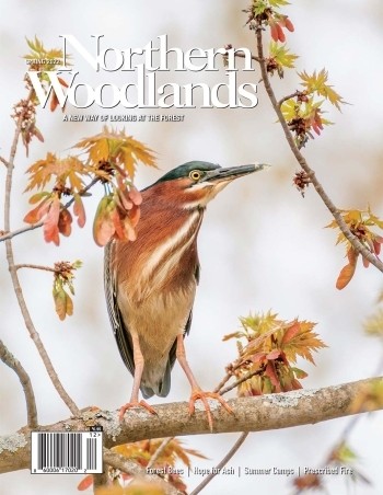 Photo by Jim Block Spring 2022 cover  by Northern Woodlands