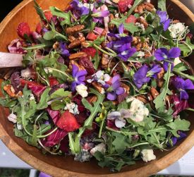 spring_violets_collins.jpg thumbnail