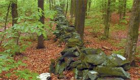 stone_walls_1.jpg thumbnail