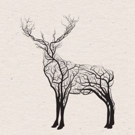 Story Retold Deer thumbnail