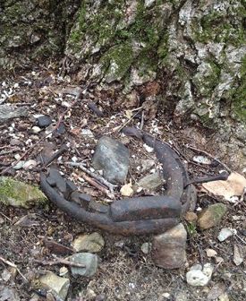 sugarwoods_2016.jpg thumbnail