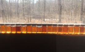 Sugarwoods_March29_Header.jpg thumbnail