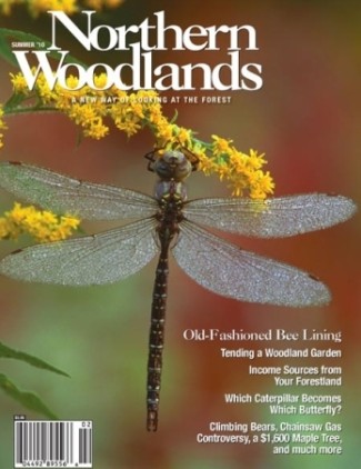 Photo by Gustav W. Verderber SUM10cover.jpg cover 