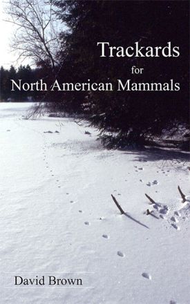 sum14_lit_3.jpg thumbnail