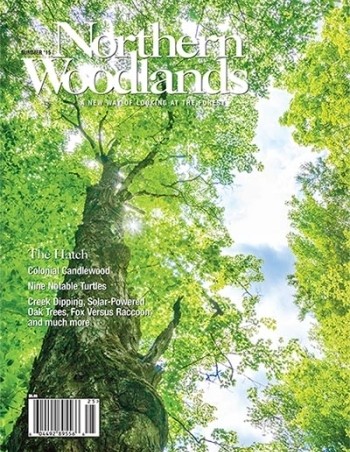 Cover photo by Jim Block Summer 2015 cover 