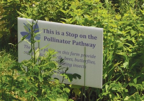 Pollinator Pathways 10