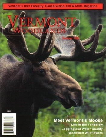 Photo by Kenneth R. Dudzik Summer 1996 cover 