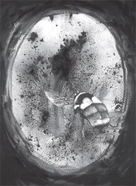 summer_2016_outdoorpalette.jpg thumbnail