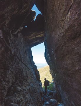 Summer_2017_1000_words.jpg thumbnail