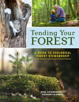 Tending your forest thumbnail