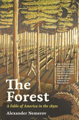 the-forest-bookcover.jpg thumbnail