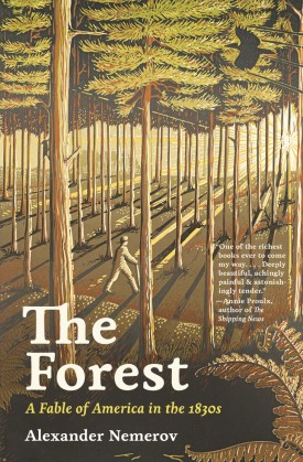 the-forest-bookcover.jpg thumbnail