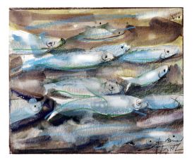 Alewife run thumbnail