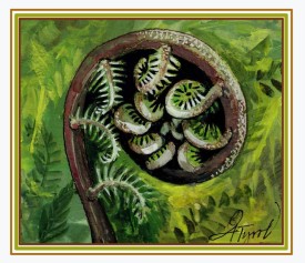 Fern thumbnail