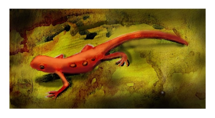 April red eft