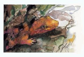 Photo period thumbnail