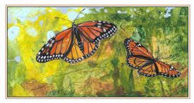 Butterflies thumbnail