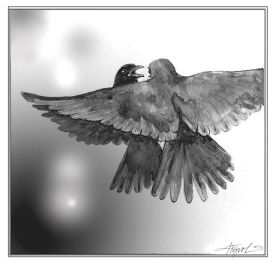 TOS_Angry_Birds_web.jpg thumbnail