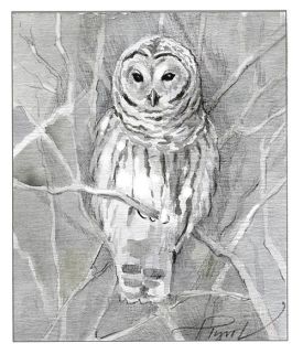 TOS_Barred_Owl_winter_web.jpg thumbnail