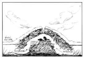 TOS_Beaver_w.jpg thumbnail