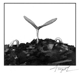 TOS_Biochar_web.jpg thumbnail