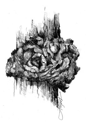 TOS_Burl_web.jpg thumbnail