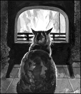 TOS_Burning_Wood_web.jpg thumbnail