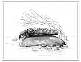 TOS_Caddisfly_web.jpg thumbnail