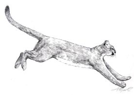 TOS_Catamount_web.jpg thumbnail