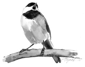 TOS_Chickadee_Singing_Web.jpg thumbnail