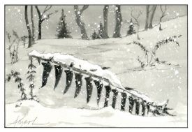 Christmas fern thumbnail