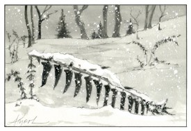 Christmas fern thumbnail