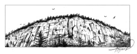 Cliffs Host Varied Flora and Fauna thumbnail