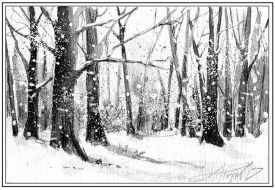 TOS_climate_change_winter_web.jpg thumbnail