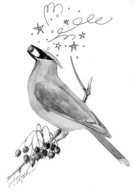 TOS_Drunk_Bird_web.jpg thumbnail