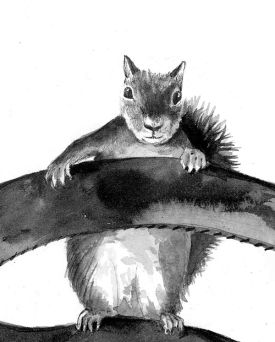 TOS_Elises_Squirrel_web.jpg thumbnail