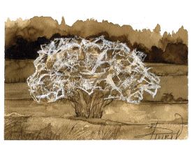 TOS_Ermine_Spindle_web.jpg thumbnail